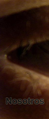 Nosotros