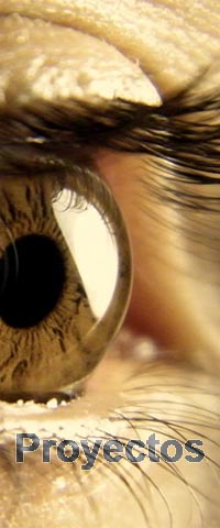 Proyectos